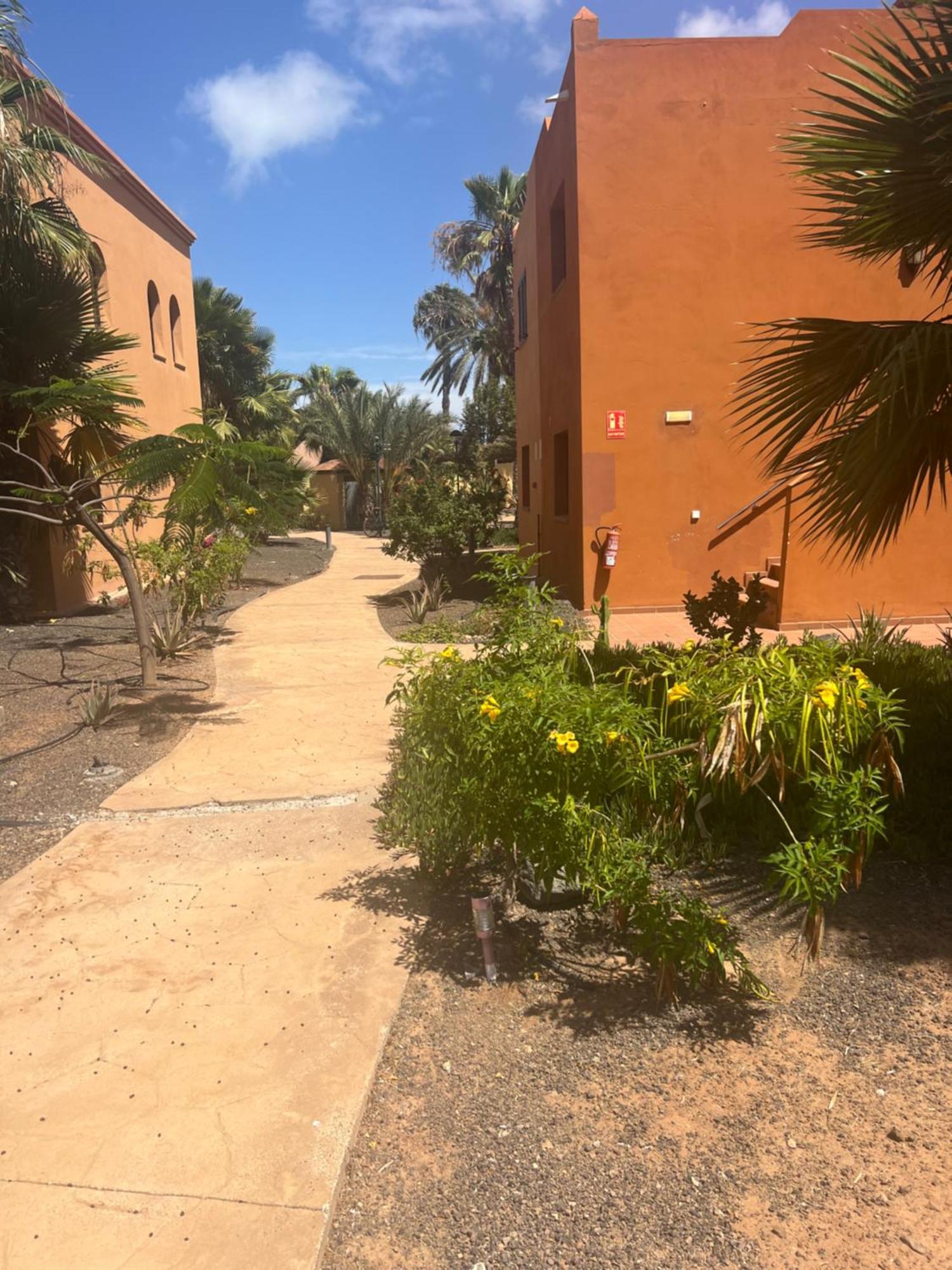 Paraiso Del Mar Corralejo Zewnętrze zdjęcie